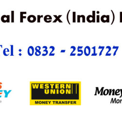 National Forex India Pvt. Ltd.